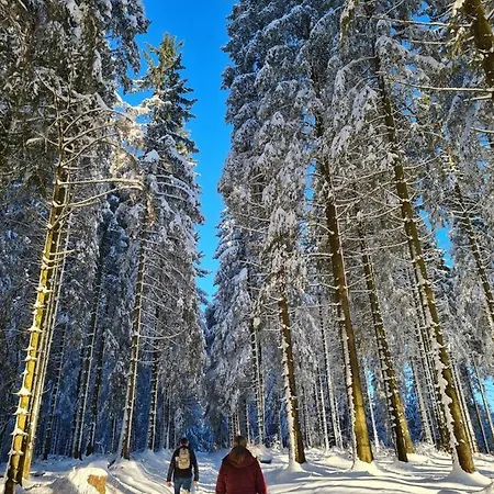 Apartman Haus Onel *