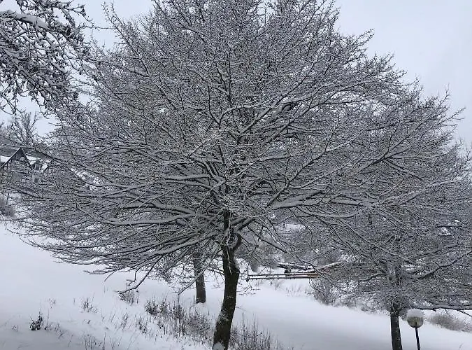 Διαμέρισμα Haus Onel