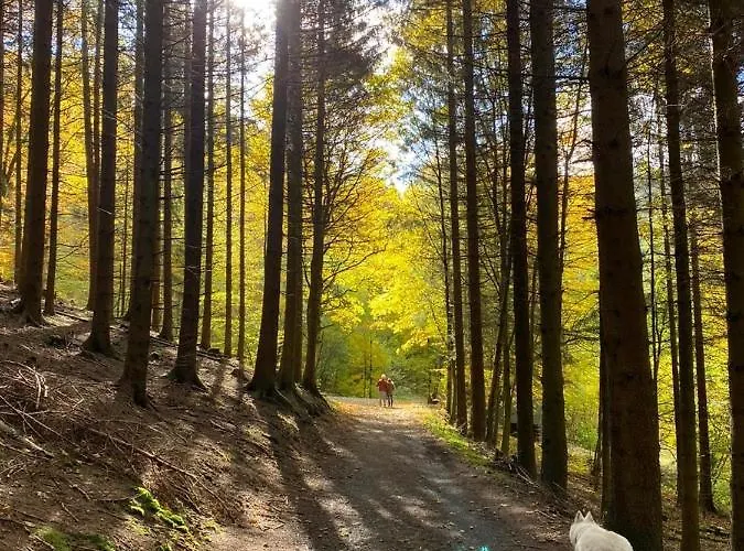 Haus Onel Διαμέρισμα Schmallenberg