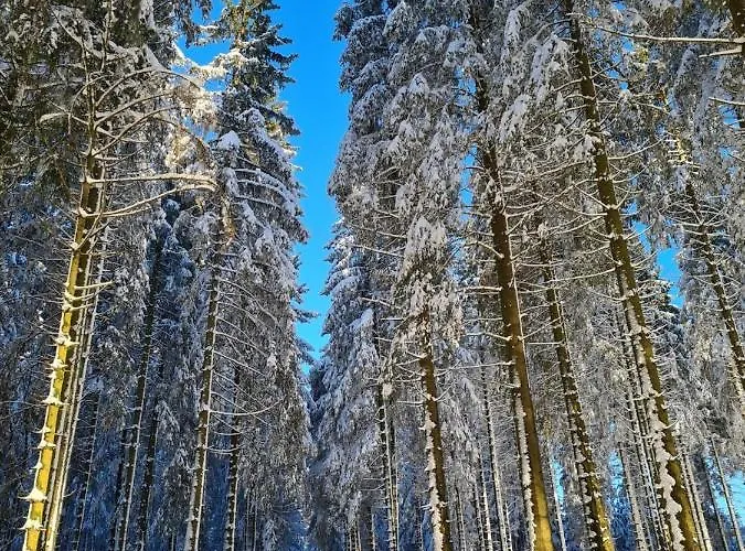 Διαμέρισμα Haus Onel *