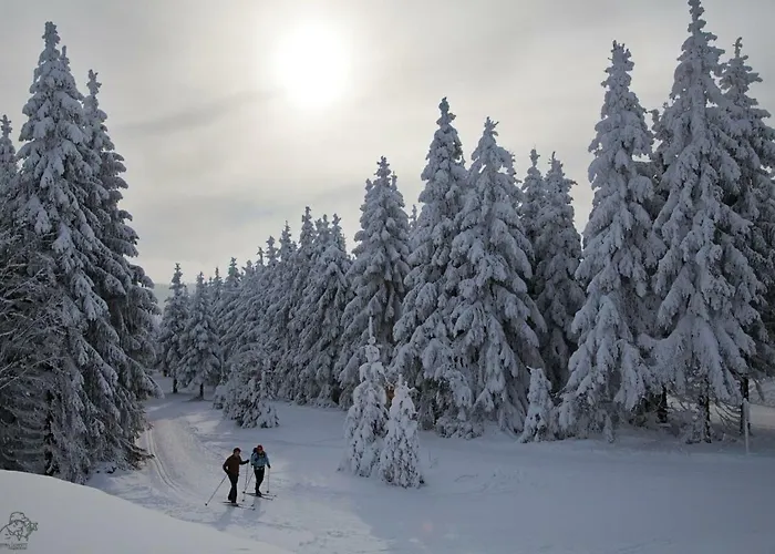 Haus Onel Διαμέρισμα