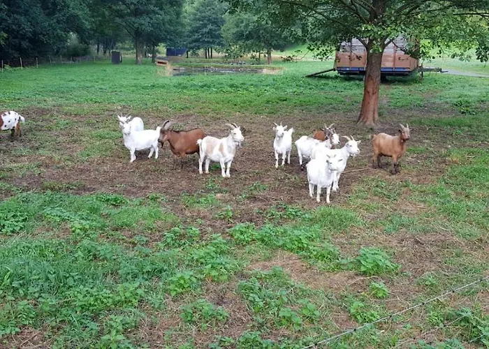 Haus Onel Διαμέρισμα